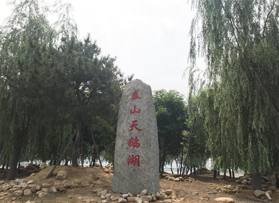天鵝湖風(fēng)景區(qū)（泰山）速覽！(圖12)